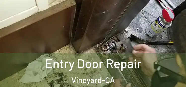 Entry Door Repair Vineyard-CA